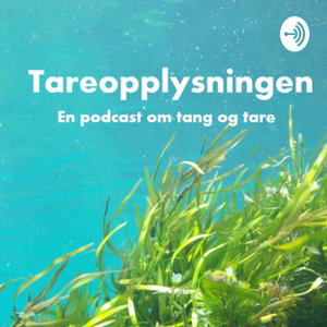 Tareopplysningen