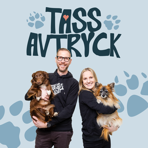 Tassavtryck - En podcast om livet med hund och katt