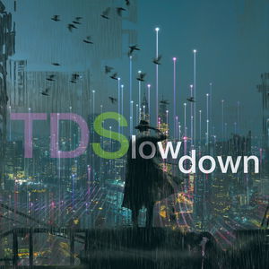 TDSlowdown