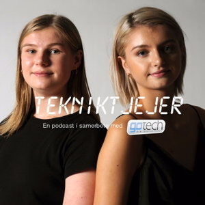 Tekniktjejer