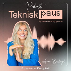 Teknisk paus