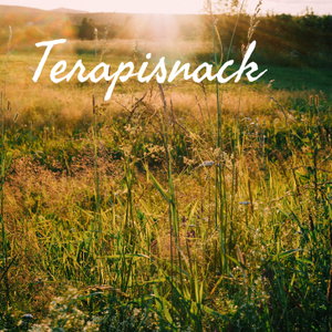 Terapisnack