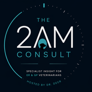 The 2AM Consult