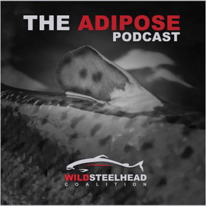 The Adipose