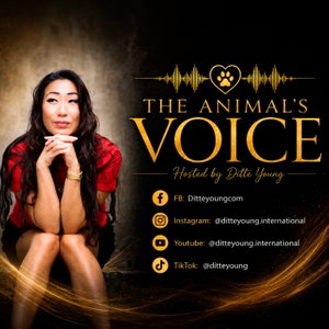 The Animals Voice
