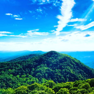 The Appalachian Homestead 