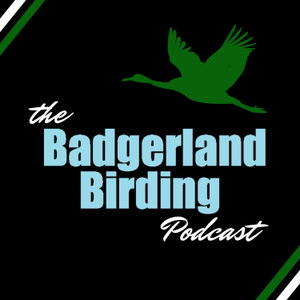 The Badgerland Birding Podcast 