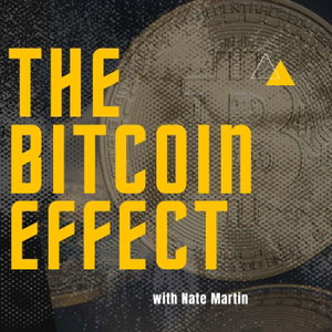 The Bitcoin Effect
