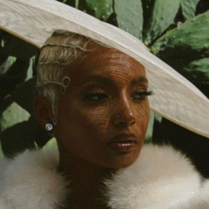 The Black Elegance Show