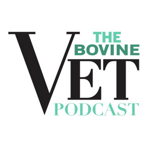 The Bovine Vet Podcast