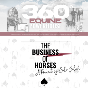 The Business of Horses with Solo Select