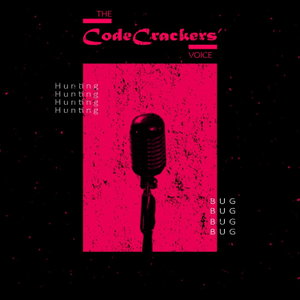 The CodeCrackers' Voice