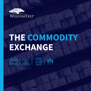 The Commodity Exchange