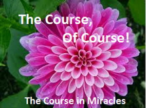 The Course, Of Course!