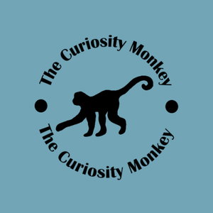 The Curiosity Monkey 