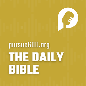 The Daily Bible