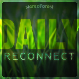 The Daily Reconnect
