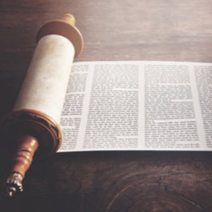 The Daily Tanach Podcast