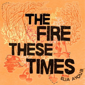 The Fire These Times