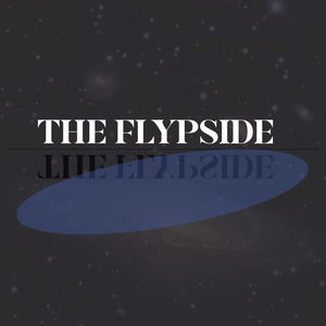 THE FLYPSIDE