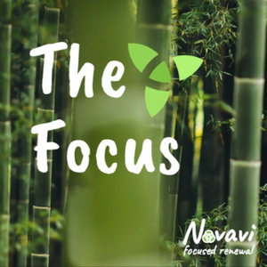 The Focus