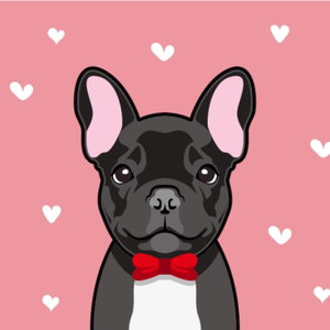 The French Bulldog Podcast By Top Frenchie