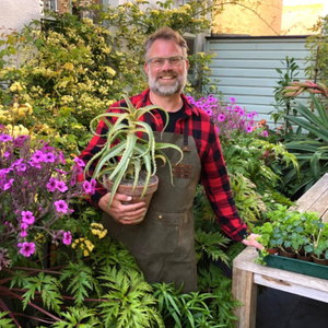 The Frustrated Gardener