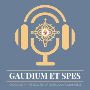 The Gaudium et Spes Podcast