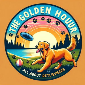 The Golden Hour: All About Retrievers