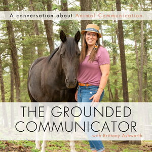 The Grounded Communicator