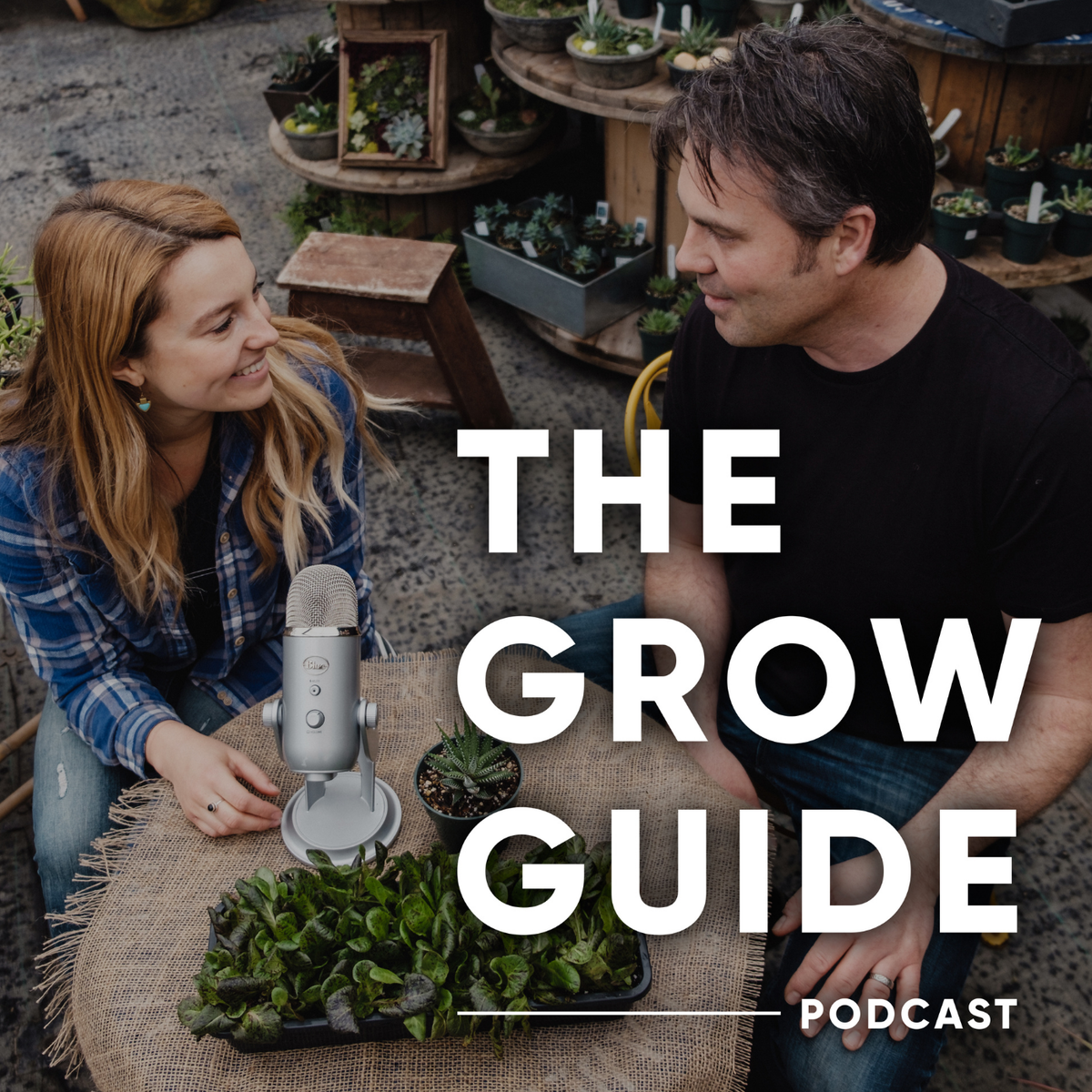 Adding Carnivorous Plants To Your Houseplant Collection with Kenny ...