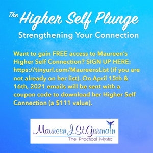 The Higher Self Plunge Interview Series