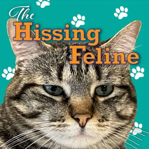 The Hissing Feline