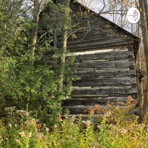 The Homestead 