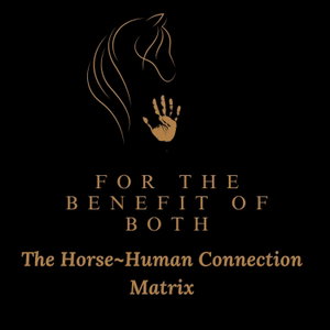 The Horsehuman Connection Matrix