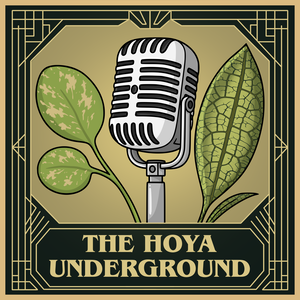 The Hoya Underground