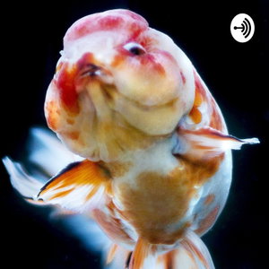 THE JOY OF AQUASCAPING PODCAST 