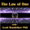 The Law of One with Scott Mandelker