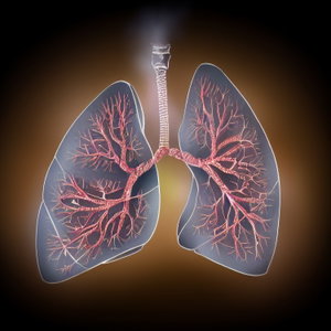 the Medical Education Podcast