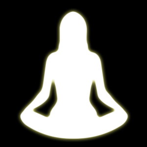 The Meditation Guru