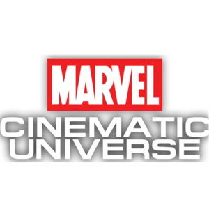 The Multiverse Theory