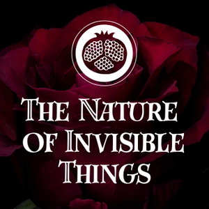 The Nature of Invisible Things