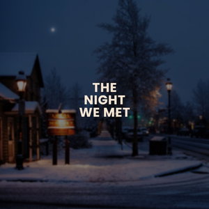 The Night We Met Podcast