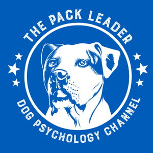 The Pack Leader Dog Psychology Channel