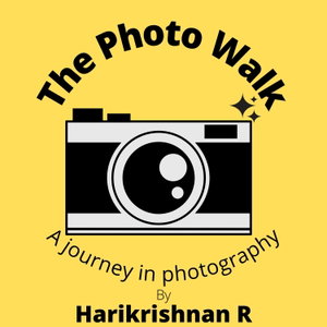The Photo Walk - A journey in photography