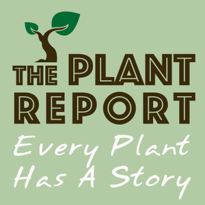 Every Plant Has A Story