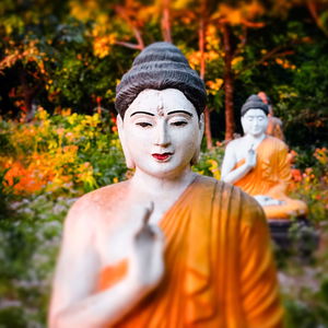 The Poetry of Illusion - Haiku