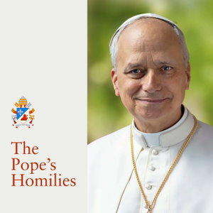 The Pope's Homilies - English Version of the Pope’s Sermons and Speeches
