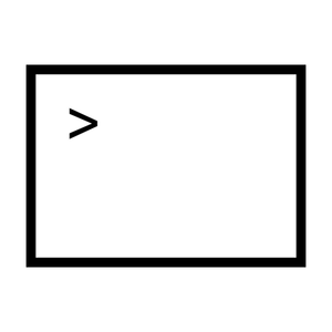 The REPL
