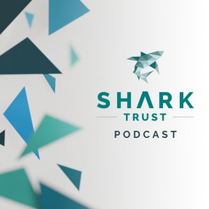 The Shark Trust Podcast | Shark Science and Conservation